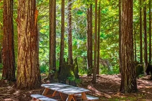 17900 Appian Way, Navarro, CA 95463 - Photo 60