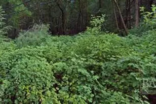 15845 Bottle Rock Rd, Cobb, CA 95426 - Photo 1