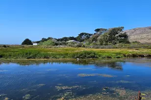 145 Bean Ave, Bodega Bay, CA 94923 - Photo 44