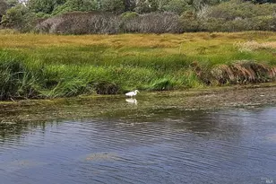 145 Bean Ave, Bodega Bay, CA 94923 - Photo 4