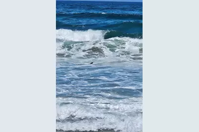 145 Bean Avenue, Bodega Bay, CA 94923 - Photo 46