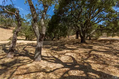 743 Bridle Ridge Court, Fairfield, CA 94534 - Photo 54