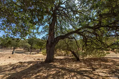 743 Bridle Ridge Court, Fairfield, CA 94534 - Photo 58