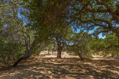 743 Bridle Ridge Court, Fairfield, CA 94534 - Photo 56