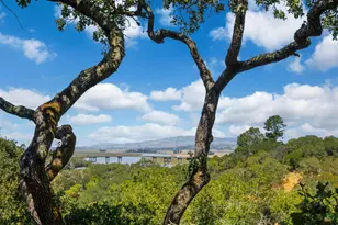 48 Manzanita Ave, Novato, CA 94945 - Photo 38