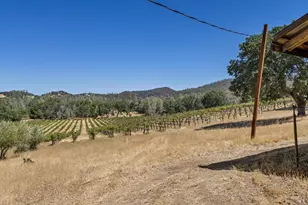 9820 Kelsey Creek Dr, Kelseyville, CA 95451 - Photo 10