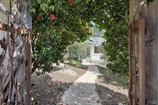 40 Laurel Ave, Stinson Beach, CA 94970 - Photo 10