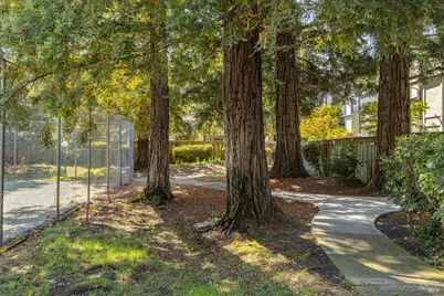 601 Marylyn Circle, Petaluma, CA 94954 - Photo 30