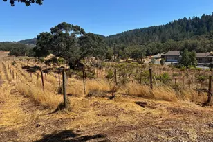 5141 Sharp Rd, Calistoga, CA 94515 - Photo 16