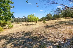 30391 Minnow Creek Ln, Round Mountain, CA 96084 - Photo 4