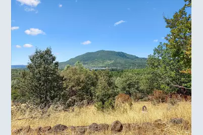 30391 Minnow Creek Lane, Round Mountain, CA 96084 - Photo 16