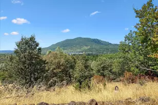 30391 Minnow Creek Ln, Round Mountain, CA 96084 - Photo 16