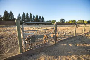 4100 Bisordi Ln, Santa Rosa, CA 95439 - Photo 12