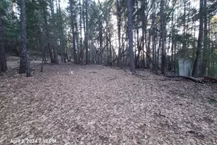 78601 Mina Rd, Covelo, CA 95428 - Photo 14