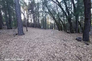 78601 Mina Rd, Covelo, CA 95428 - Photo 4