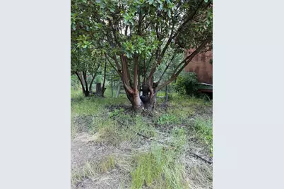 78577 Mina Road, Covelo, CA 95428 - Photo 8