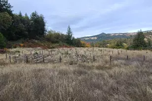 78577 Mina Rd, Covelo, CA 95428 - Photo 12