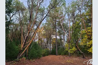 78577 Mina Road, Covelo, CA 95428 - Photo 10