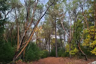 78577 Mina Rd, Covelo, CA 95428 - Photo 10