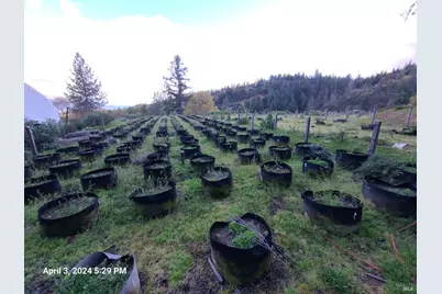 78577 Mina Road, Covelo, CA 95428 - Photo 24