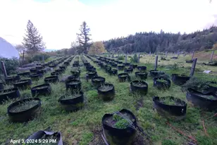 78577 Mina Rd, Covelo, CA 95428 - Photo 24