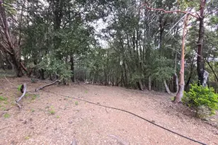 78621 Mina Rd, Covelo, CA 95428 - Photo 42