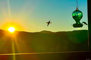 10225 Kelsey Creek Dr, Kelseyville, CA 95451 - Photo 2