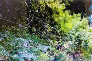 18355 Neeley Rd, Guerneville, CA 95446 - Photo 1