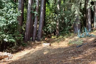 18355 Neeley Rd, Guerneville, CA 95446 - Photo 1