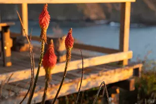 [Address not provided], Albion, CA 95410 - Photo 34