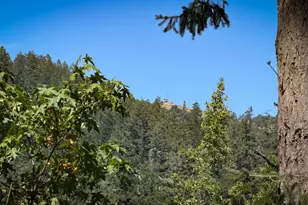 15 Mountain View Ave, Lagunitas, CA 94938 - Photo 8