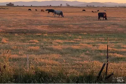 1576 Milton Road, Napa, CA 94559 - Photo 24