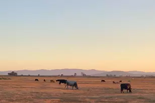 1576 Milton Rd, Napa, CA 94559 - Photo 24