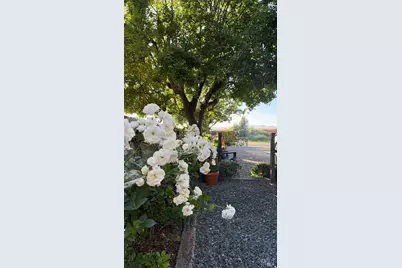 1576 Milton Road, Napa, CA 94559 - Photo 46