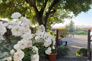 1576 Milton Rd, Napa, CA 94559 - Photo 46