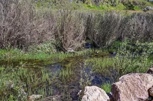 2230 Stagecoach Canyon Rd, Pope Valley, CA 94567 - Photo 14