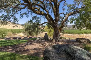 1650 Aetna Springs Ln, Pope Valley, CA 94567 - Photo 44