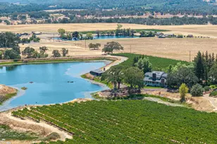 1650 Aetna Springs Ln, Pope Valley, CA 94567 - Photo 4