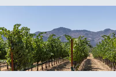 0 Aetna Springs Lane, Pope Valley, CA 94567 - Photo 16