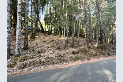 24250 Buckeye Lane, Willits, CA 95490 - Photo 1