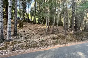 24250 Buckeye Ln, Willits, CA 95490 - Photo 1