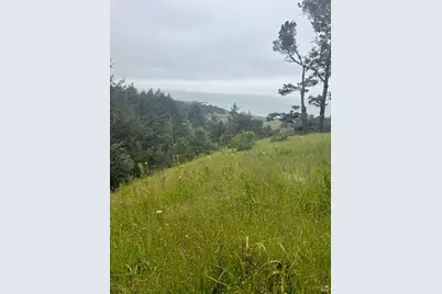 316 Constellation Court, The Sea Ranch, CA 95497 - Photo 28