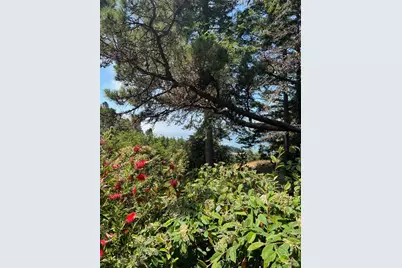 316 Constellation Court, The Sea Ranch, CA 95497 - Photo 24