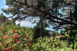 316 Constellation Ct, The Sea Ranch, CA 95497 - Photo 24