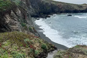 316 Constellation Ct, The Sea Ranch, CA 95497 - Photo 34