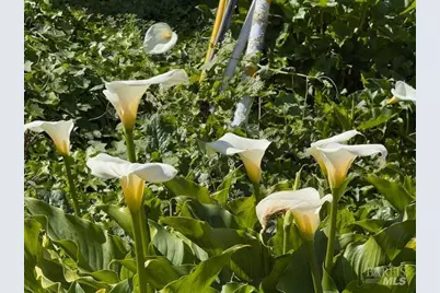 711 Alta Vista Road, Mill Valley, CA 94941 - Photo 74