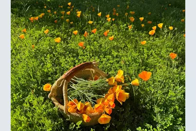 644 Piezzi Road, Santa Rosa, CA 95401 - Photo 50