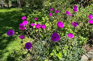 644 Piezzi Rd, Santa Rosa, CA 95401 - Photo 32