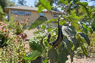 644 Piezzi Rd, Santa Rosa, CA 95401 - Photo 44