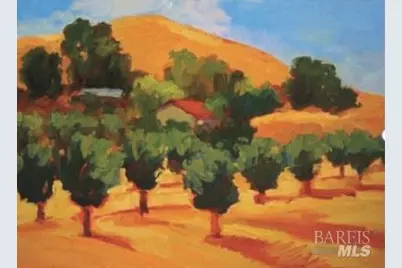 7871 Butts Canyon Road, Pope Valley, CA 94567 - Photo 30